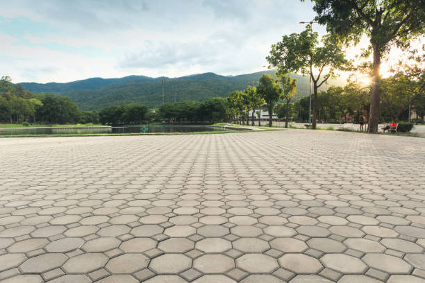 Best Driveway Paving Contractor  in Grants, NM