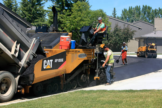 Best Driveway Paver Repair  in Grants, NM